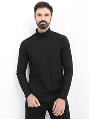 Džemperis vīriešiem cena un informācija | Vīriešu džemperi | 220.lv