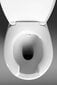 Bezmalu kompaktais tualetes pods bez apmales, augsta aizmugures izeja Handicap / Etiuda cena un informācija | Tualetes podi | 220.lv