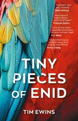 Tiny Pieces of Enid цена и информация | Фантастика, фэнтези | 220.lv