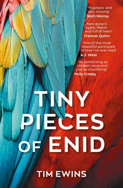 Tiny Pieces of Enid cena un informācija | Fantāzija, fantastikas grāmatas | 220.lv