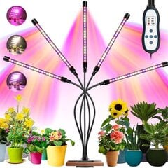 5 x augu augšanas lampa, 60 LED taimeris + tālvadības pults cena un informācija | Diedzēšanas trauki, augu lampas | 220.lv