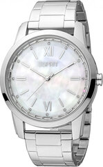 Женские часы Esprit ES1L325M0045 цена и информация | Женские часы | 220.lv
