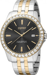 Женские часы Esprit ES1L318M0095 цена и информация | Женские часы | 220.lv