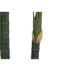 Декоративное растение DKD Home Decor Пальмовое (100 x 100 x 230 cm) цена и информация | Искусственные цветы | 220.lv