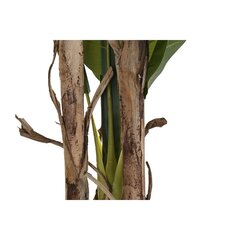 Декоративное растение DKD Home Decor Банан (90 x 90 x 250 cm) цена и информация | Искусственные цветы | 220.lv