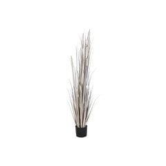 Декоративное растение DKD Home Decor тростник (45 x 45 x 150 cm) цена и информация | Искусственные цветы | 220.lv