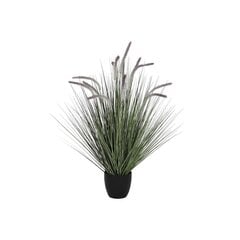 Декоративное растение DKD Home Decor Лиловый (30 x 30 x 104 cm) цена и информация | Искусственные цветы | 220.lv