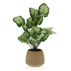 Декоративное растение Versa 15 x 52 x 15 cm Цемент Пластик цена и информация | Искусственные цветы | 220.lv