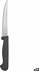 Нож для мяса Amefa цена и информация | Ножи и аксессуары для них | 220.lv