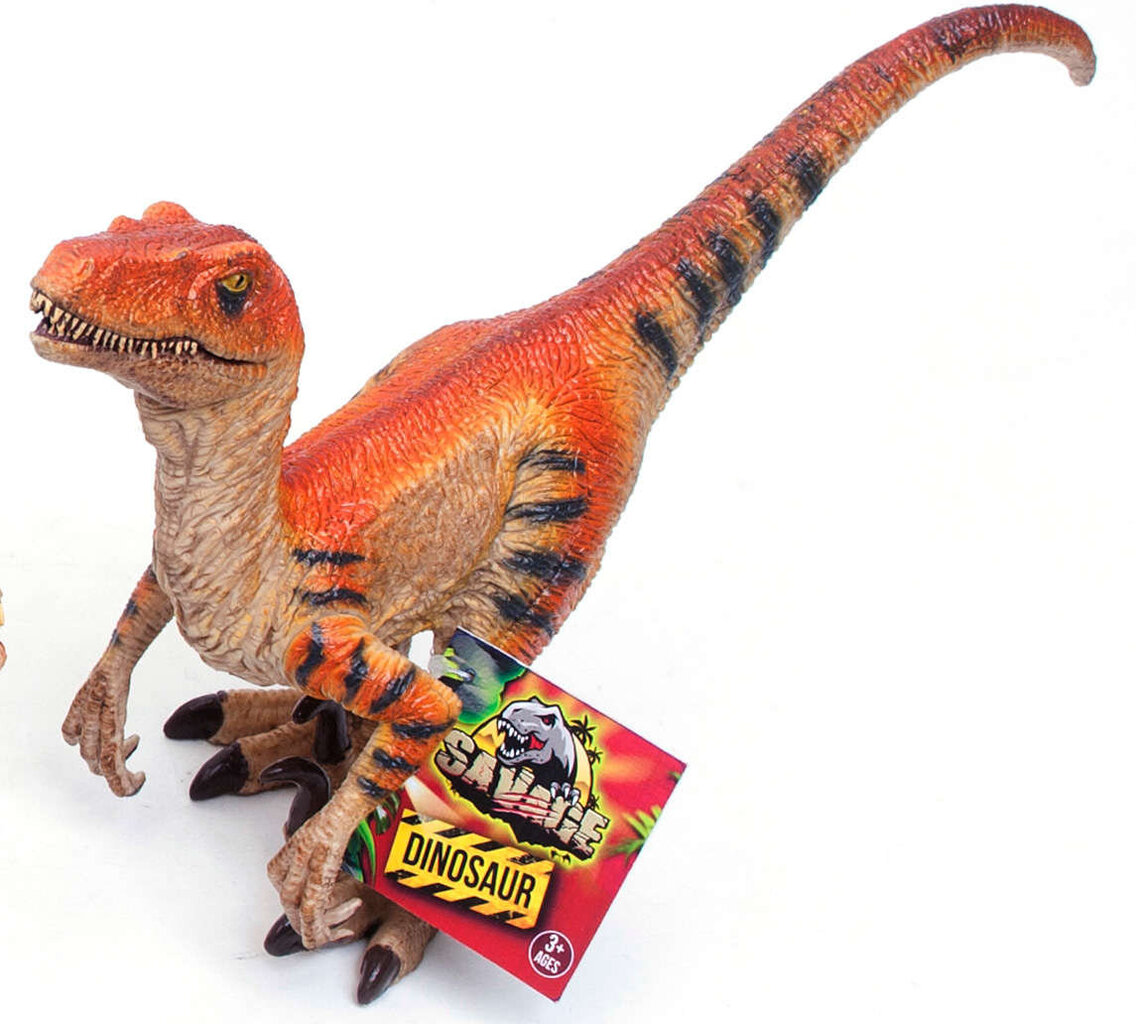 Figūriņa dinozaurs Boley Velociraptor 19 cm цена и информация | Rotaļlietas zēniem | 220.lv
