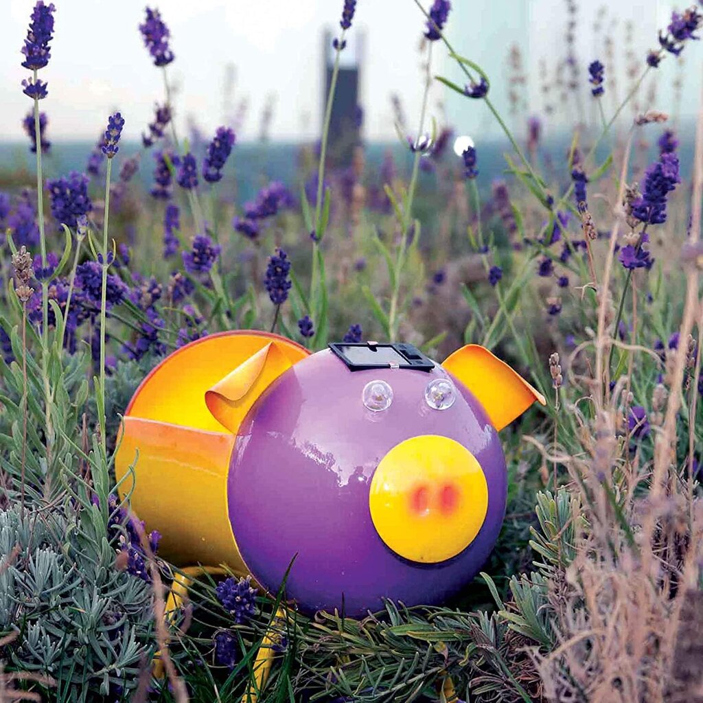 Smarty Gadgets cūku augu pods, dzeltenas/violetas, ar saules enerģiju darbināmas LED acis cena un informācija | Puķu podi | 220.lv