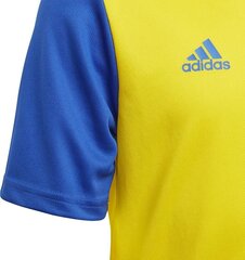 Тренировочная футболка Adidas Estro 19 Jersey Junior, желтая, 128 см цена и информация | Футбольная форма и другие товары | 220.lv