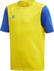 Тренировочная футболка Adidas Estro 19 Jersey Junior, желтая, 128 см цена и информация | Футбольная форма и другие товары | 220.lv