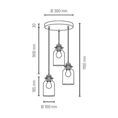 Подвесной светильник Alessandro цена и информация | Люстры | 220.lv
