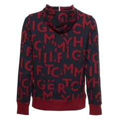 Мужской джемпер Tommy Hilfiger 8720115364201, Синий цена и информация | Мужские толстовки | 220.lv