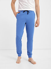 Мужские штаны, голубые  цена и информация | Мужские брюки | 220.lv