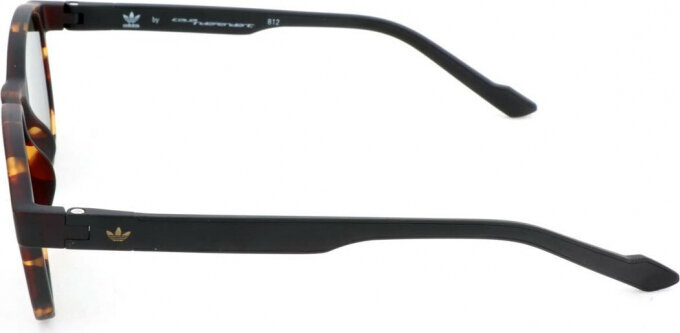 Vīriešu Saulesbrilles Adidas AOR030 CM1392 S7242743 cena un informācija | Saulesbrilles  vīriešiem | 220.lv