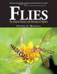 Flies: The Natural History and Diversity of Diptera: The Natural History and Diversity of Diptera цена и информация | Книги о питании и здоровом образе жизни | 220.lv