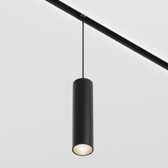 Maytoni Technical Track piekaramais apgaismojums Focus LED TR041-2-12W4K-B Black цена и информация | Люстры | 220.lv