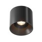 Maytoni Technical Griestu lampa Alfa LED C064CL-01-15W3K-RD-B Melns cena un informācija | Griestu lampas | 220.lv