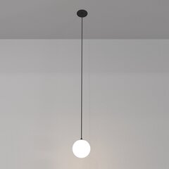 Maytoni tehniskā piekaramā lampa Luna P039PL-5W4K-10INS-B Melnā un baltā krāsā cena un informācija | Lustras | 220.lv