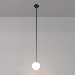 Maytoni tehniskā piekaramā lampa Luna P039PL-5W3K-10INS-B Melnā un baltā krāsā cena un informācija | Lustras | 220.lv