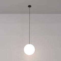 Lampa Maytoni Technical Luna P039PL-5W3K-20INS-B Melnā un baltā krāsā cena un informācija | Piekaramās lampas | 220.lv