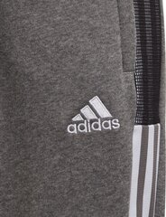 Sporta bikses Adidas Junior, 176 cm cena un informācija | Futbola formas un citas preces | 220.lv