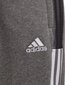 Sporta bikses Adidas Junior, 176 cm цена и информация | Futbola formas un citas preces | 220.lv