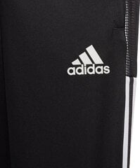 Детские штаны Adidas Tiro 3/4, 176 см цена и информация | Футбольная форма и другие товары | 220.lv