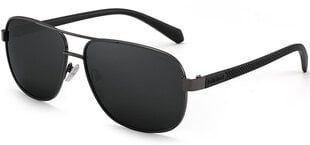 Солнцезащитные очки Label L1009 Polarized цена и информация | Солнцезащитные очки для мужчин | 220.lv