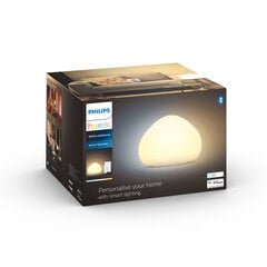 Настольная лампа Philips 10588627 цена и информация | Настольные лампы | 220.lv