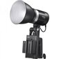 Godox ML30Bi Duo LED Light KIT Studiju Gaismas komplekts цена и информация | Apgaismojums fotografēšanai | 220.lv