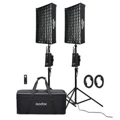 Godox Flexible LED Light FL100 Two-light KIT Комплект студийного освещения цена и информация | Осветительное оборудование для фотосъемок | 220.lv