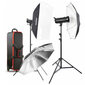 Godox SK400ll Complete Flash KIT Studiju Gaismas komplekts cena un informācija | Apgaismojums fotografēšanai | 220.lv
