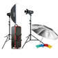 Godox Studio KIT E300-F Studiju Gaismas komplekts cena un informācija | Apgaismojums fotografēšanai | 220.lv
