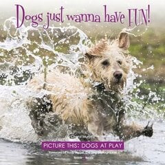 Dogs just wanna have FUN!: Picture this: Dogs at Play цена и информация | Книги по фотографии | 220.lv