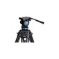 Benro KH-25P цена и информация | Fotokameru statīvi | 220.lv