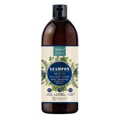 Matu šampūns Barwa Magic of Herbs Mint, 450 ml cena un informācija | Šampūni | 220.lv