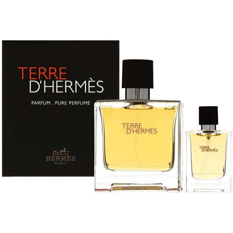 Dāvanu komplekts vīriešiem: Hermes Men's Terre D'Hermes EDP: 75ml + 12,5ml. cena un informācija | Vīriešu smaržas | 220.lv