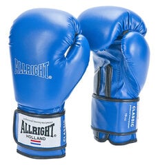 Перчатки боксерские Allright Classic, синие цена и информация | Боевые искусства | 220.lv
