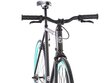 Fixie Velosipēds 6KU Beach Bum - XL цена и информация | Velosipēdi | 220.lv