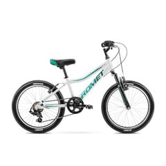 Детский велосипед Romet Rambler KID 2, 20 дюймов (2023) цена и информация | Велосипеды | 220.lv