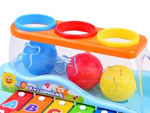Rotaļlietu šķīvji ar bumbiņām cena un informācija | Attīstošās rotaļlietas | 220.lv
