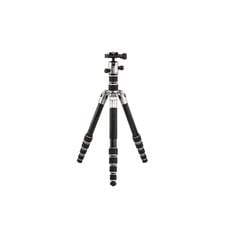Benro Tripster Titanium S1 + B0 cena un informācija | Fotokameru statīvi | 220.lv
