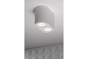 Потолочный светильник GTV Senso Duo цена и информация | Потолочные светильники | 220.lv