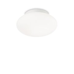 Потолочный светильник Bubble Pl1 135250 цена и информация | Потолочные светильники | 220.lv