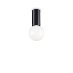 Griestu lampa Petit Pl1 Nero 232980 cena un informācija | Griestu lampas | 220.lv