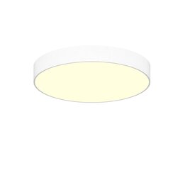Griestu LED lampa Concise 48W, Ø450mm, Balta, цена и информация | Потолочные светильники | 220.lv