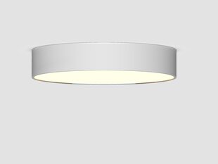 Потолочный светодиодный светильник Concise 48 Вт, Ø450 мм, белый, диммируемый цена и информация | Потолочные светильники | 220.lv